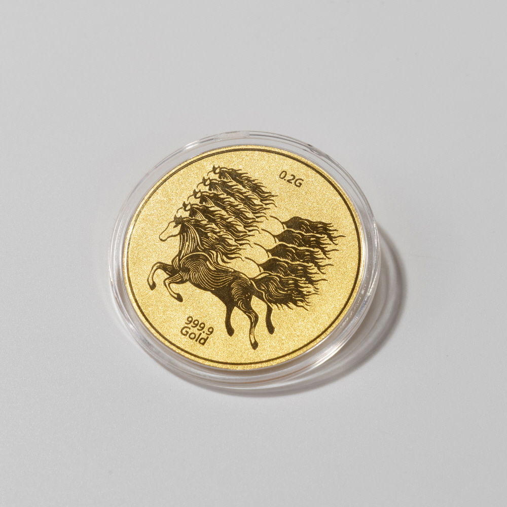 0.2g 말 코인 골드바 2종