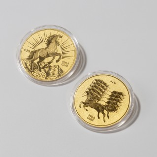 0.2g 말 코인 골드바 2종